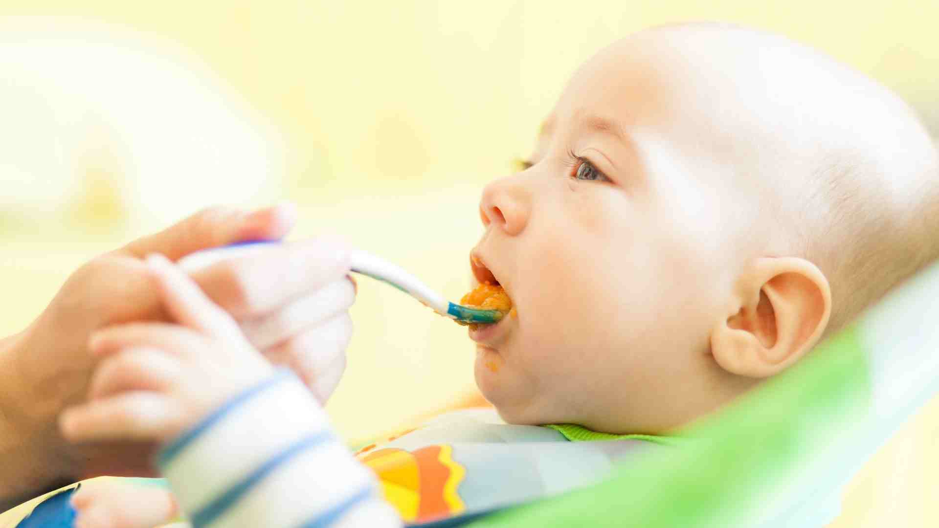 Alimentación de un bebé de 6 meses