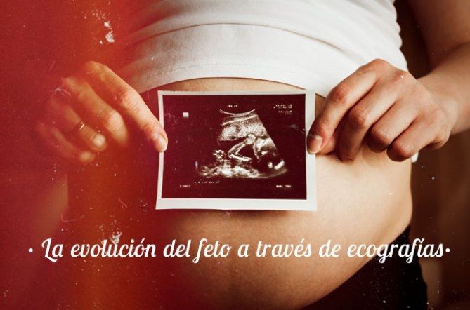 el desarrollo del embarazo semana a semana phalbm24844478 w670